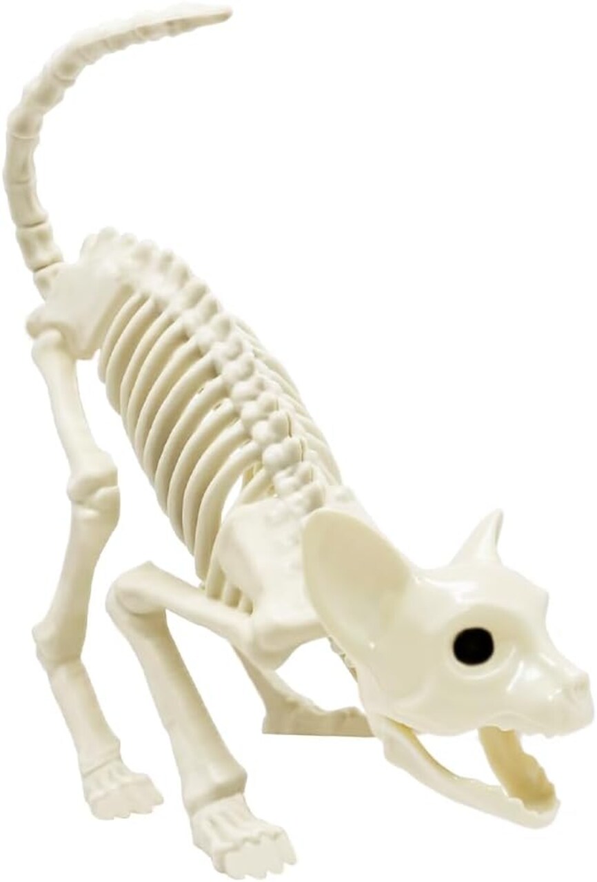 Cat Halloween Skeleton Decoration, Animal Skeleton with Posable Joints for Graveyard Scene and Decoration, Skeleton Bones Prop Themed Parties, Haunted Houses